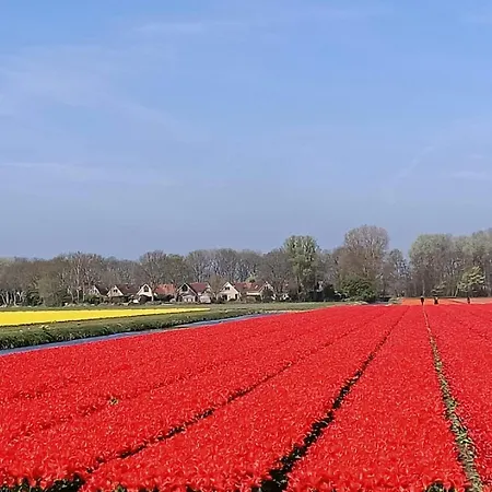 假日公园 Tapuit 8-2 By Interhome 4*