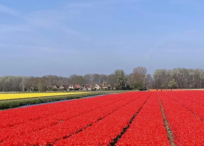 Holiday park Tapuit 8-2 By Interhome 4*